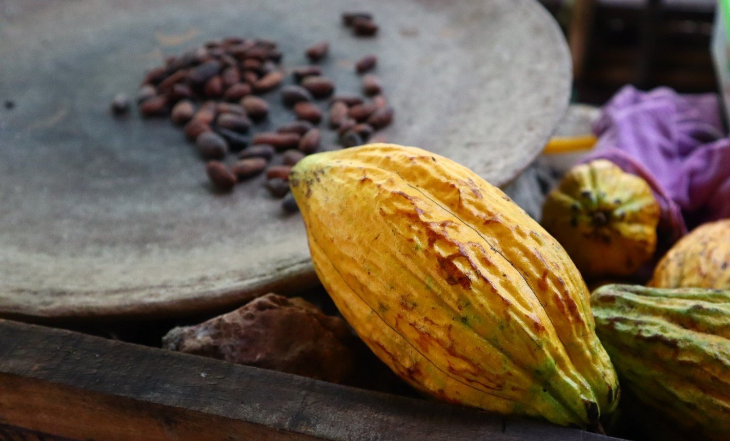 Elements Truffles - Ayu Gift box