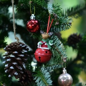 Clarity – Activated Charcoal Clay Facial Soap