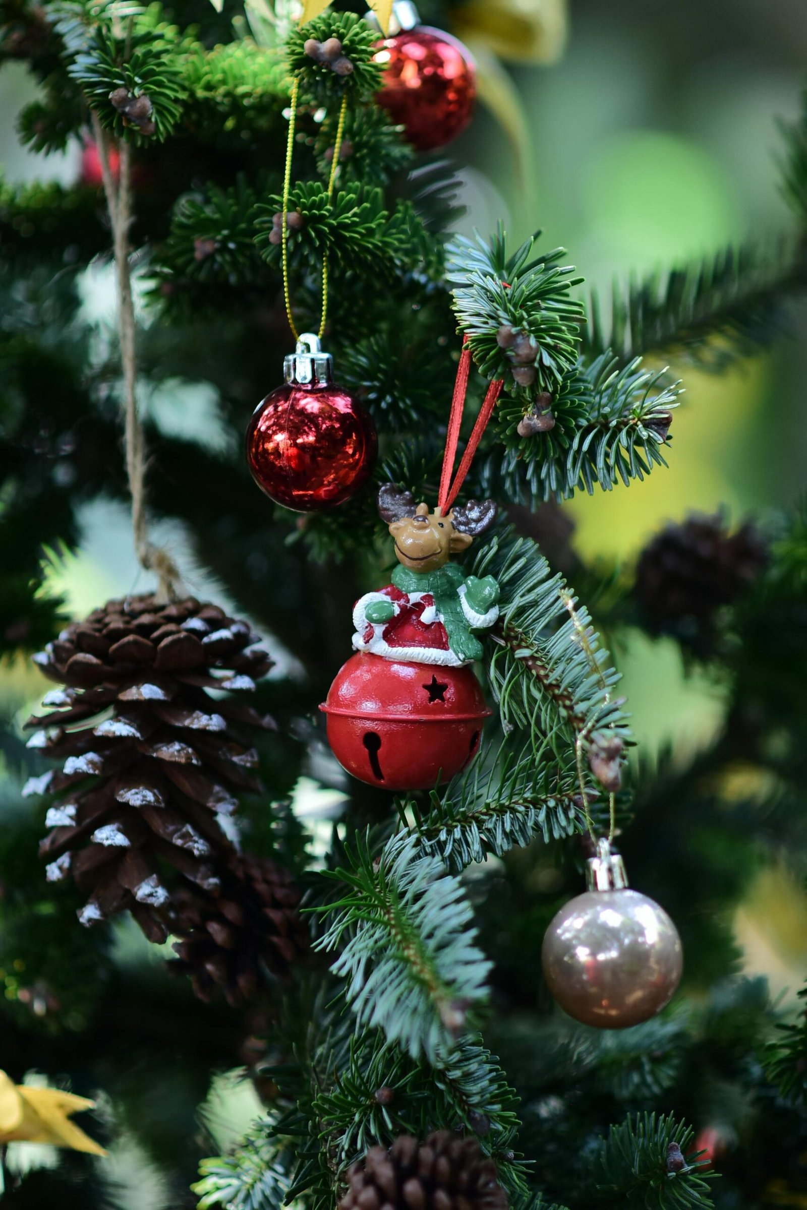 Clarity – Activated Charcoal Clay Facial Soap